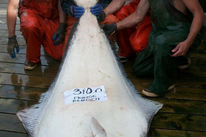 a group of people wearing costumes