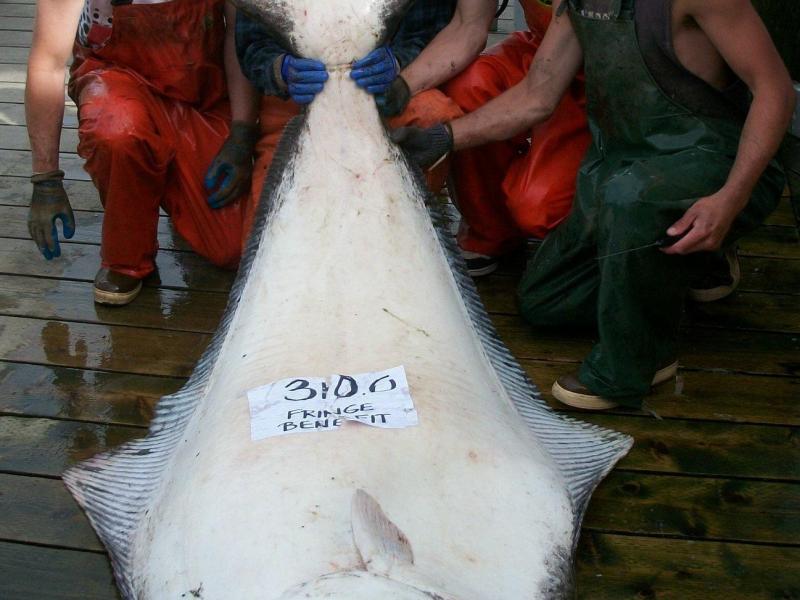 a group of people wearing costumes