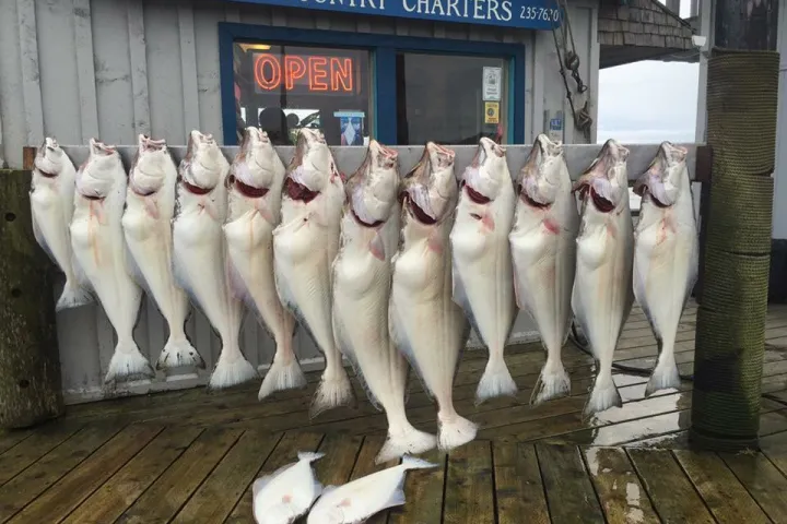 a group of fish in front of a building