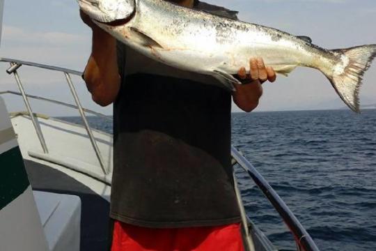 a person holding a fish in the water