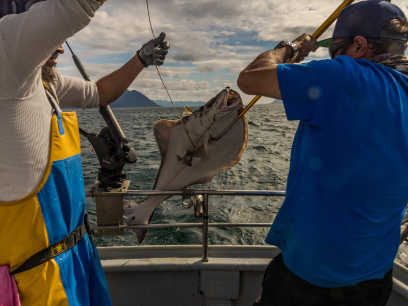 a person in a blue uniform holding a bat