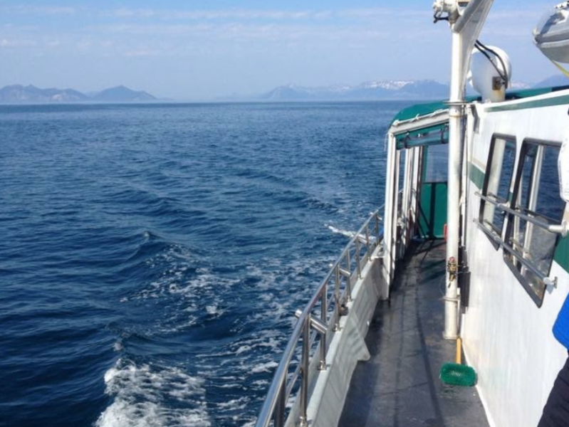 a person standing next to a body of water