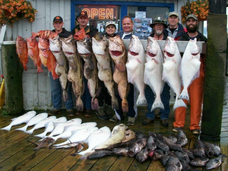 a group of fish in the water