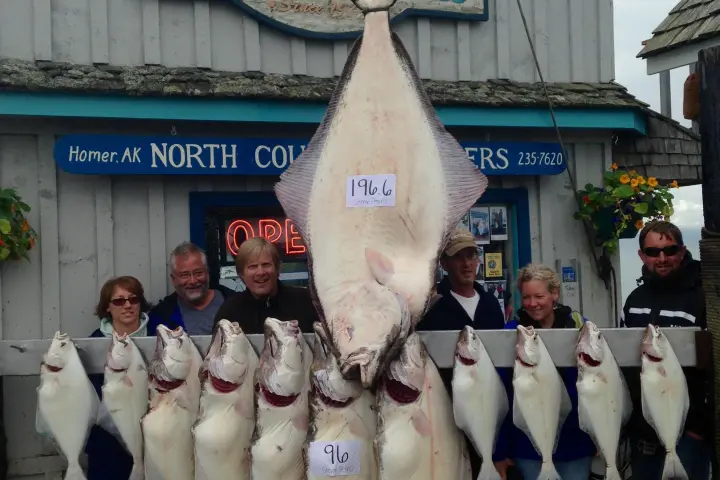 a group of fish in front of a building