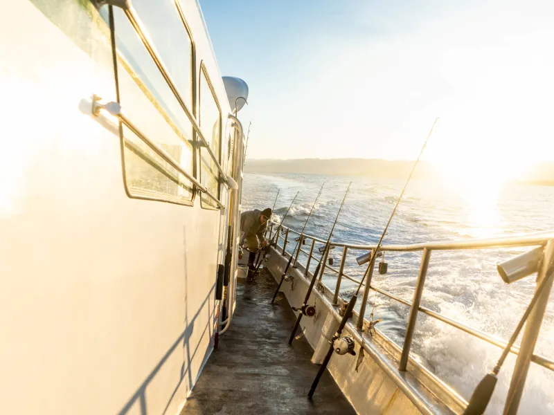 a bridge over a body of water