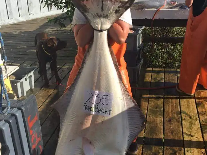 a man standing in front of a boat